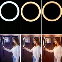 26cm  Ring Light with Stand