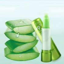 Aloe Vera 12 Pocket Lipstick Box 