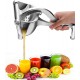 Manual Fruit Juicer