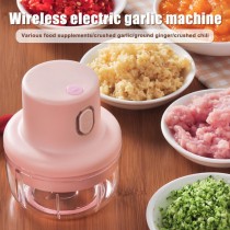 Mini Chargeable Chopper 2 in 1