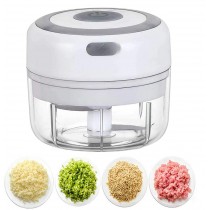 Mini Rechargeable Chopper