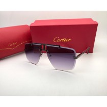 Cartier Gents Sunglasses