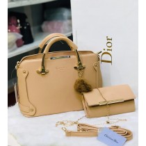 2pcs Christian Dior Hand Bag FHB-178