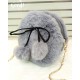 New Fluffy Furr Korean Style Crossbody Bag